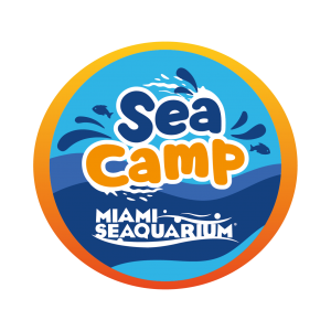 sea Summer Camp Logo
