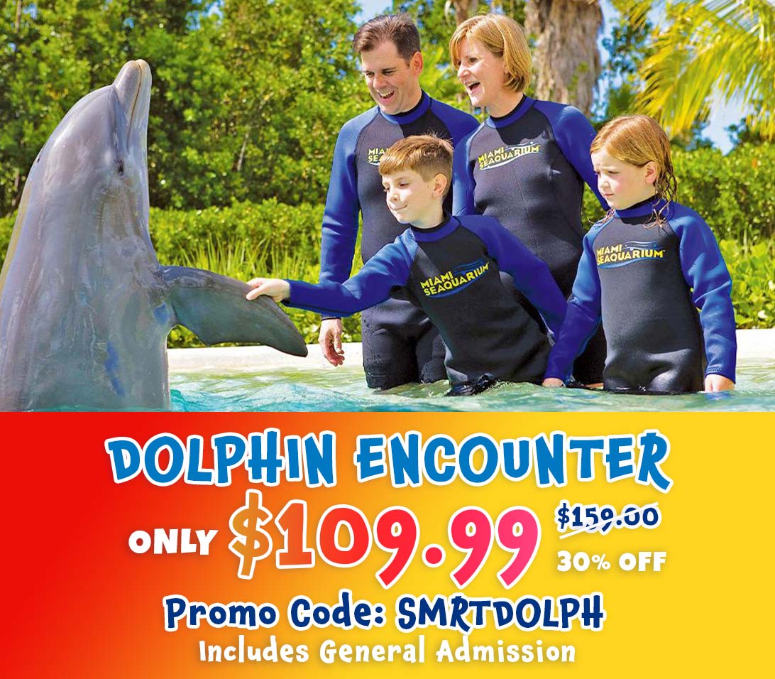 Miami Seaquarium - tickets, prices, discounts, swim with Dolphins