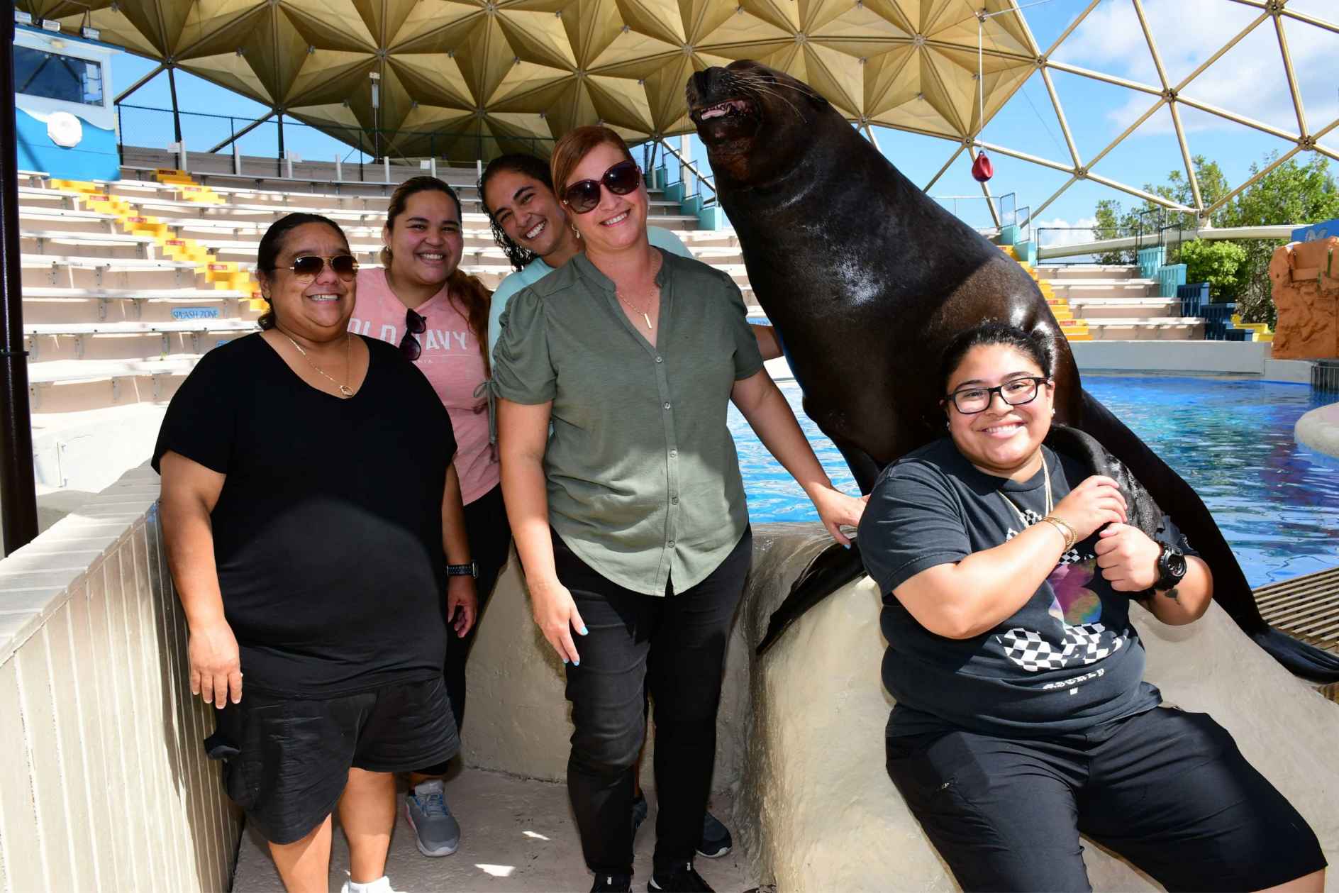 Dolphin Encounter - Miami Seaquarium